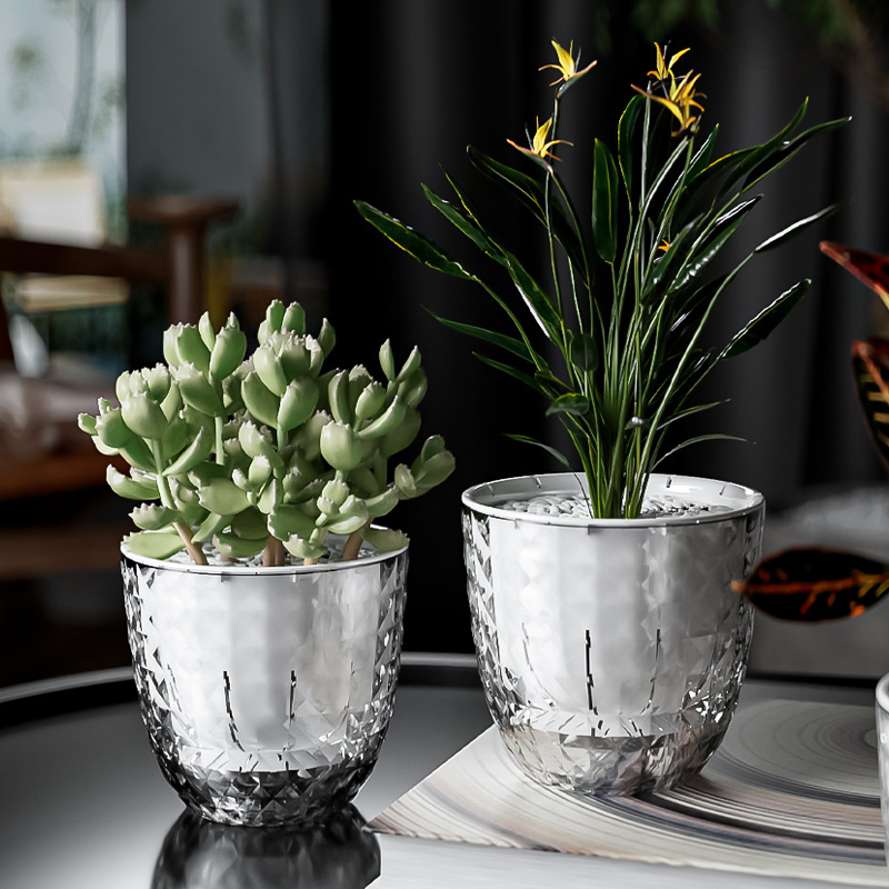 Transparent Plastic Lazy Plant - Aloe Vera Pot 评论和价格