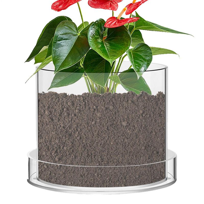 Clear Plant Pots With Drainage - Aloe Vera Pot 评论和价格