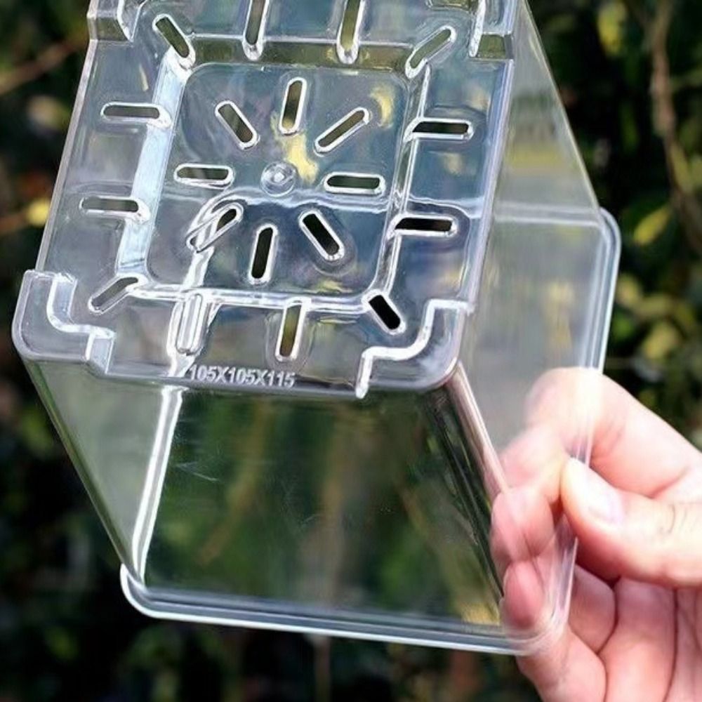 5PCS/Kit Clear Plastic Orchid  - Aloe Vera Pot 评论和价格