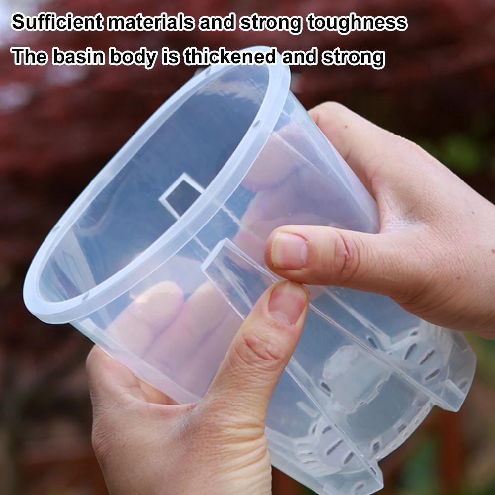 5PCS/Kit Clear Plastic Orchid  - Aloe Vera Pot 评论和价格